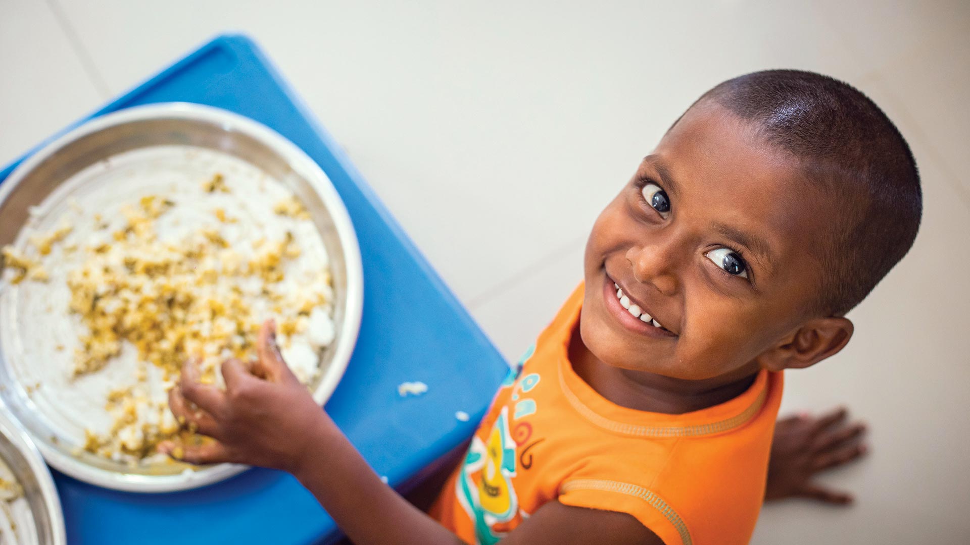 Tata group food fortification
