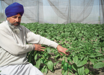 Lakhpati Kisan