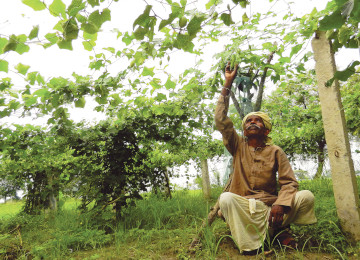 Agricultural communities