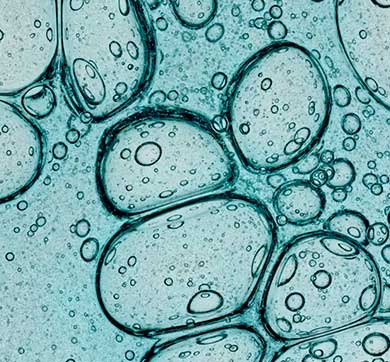 AI Driven Precision Oncology At Scale