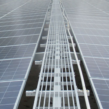 TCS is transitioning into a net zero company by greening its business-as-usual operations