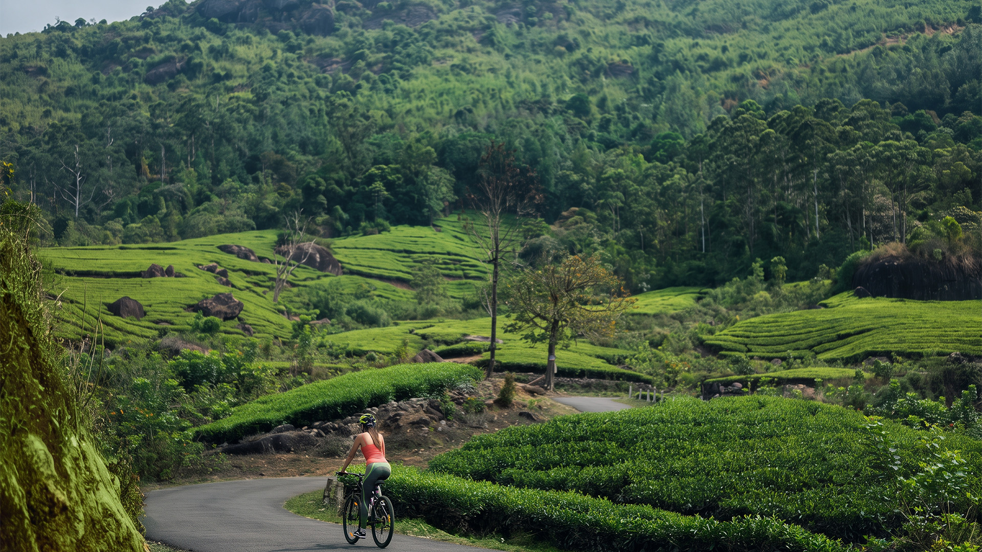 IHCL monsoon getaways