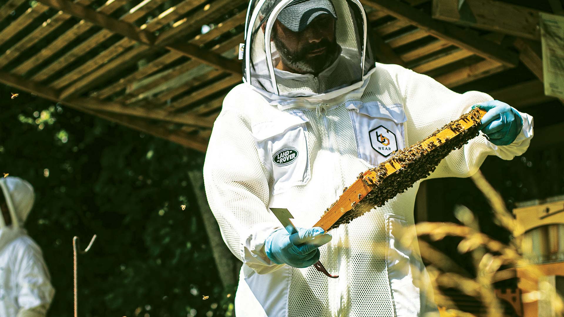 JLR employees wellness in nature, beekeeping