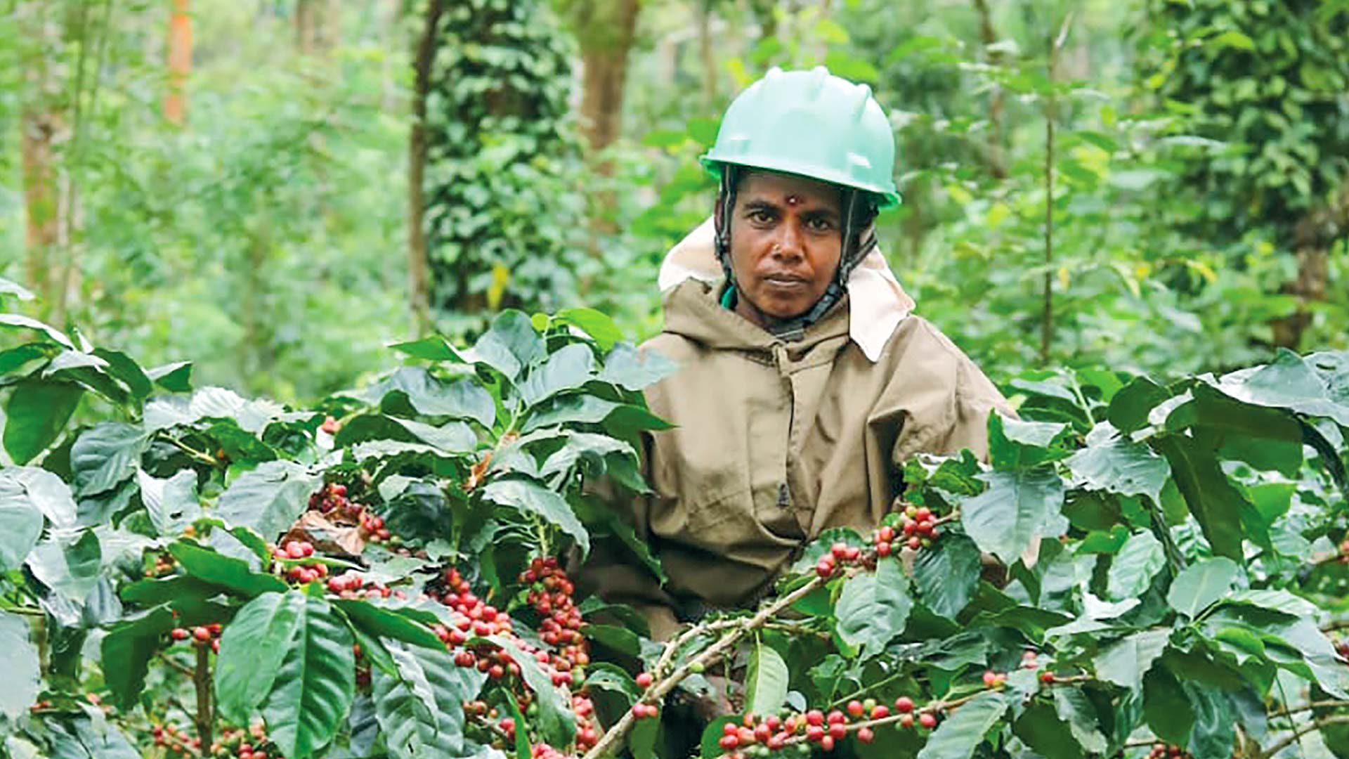 Vairamani, Tata Coffee