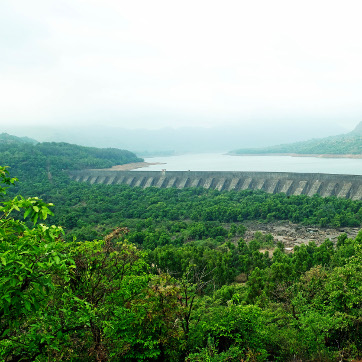 Tata companies have undertaken a host of conservation projects to save our planet. 