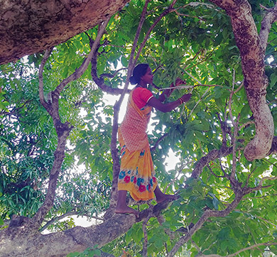 Lac-pati Farmers