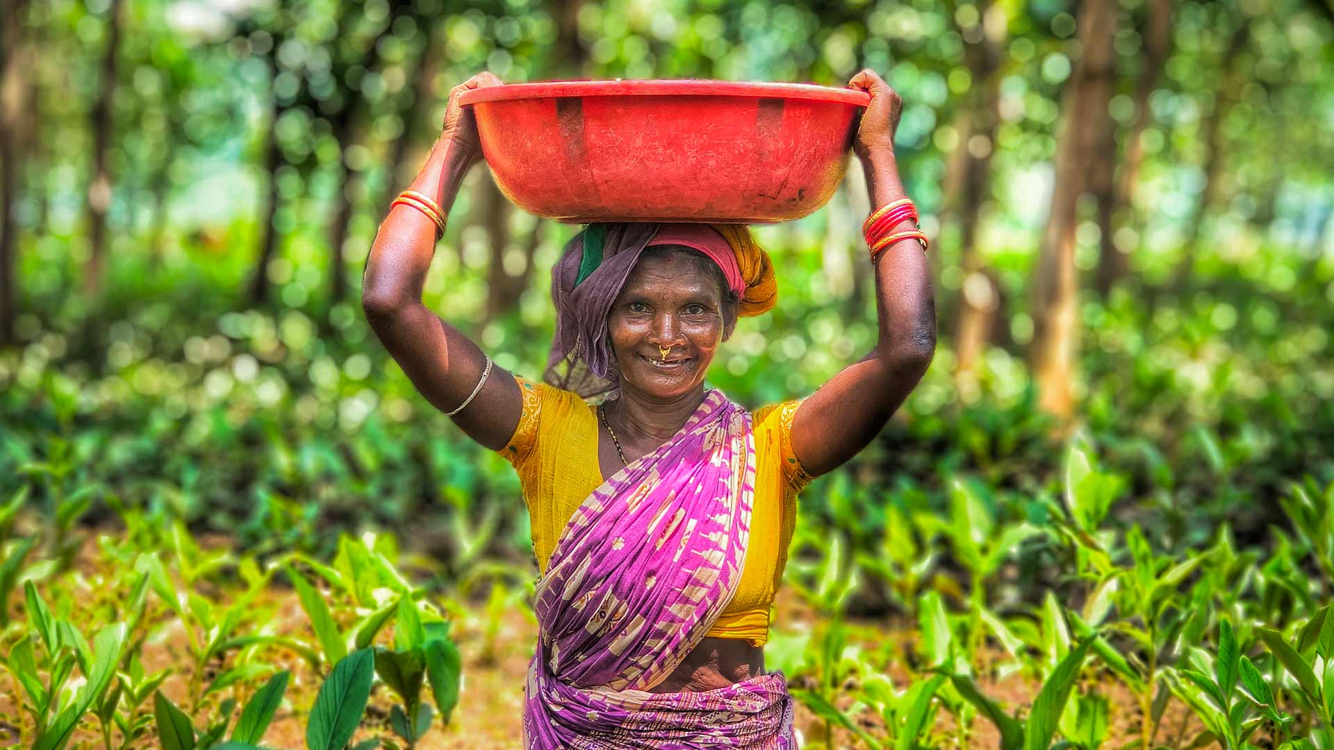 Tata Communications community empowerment
