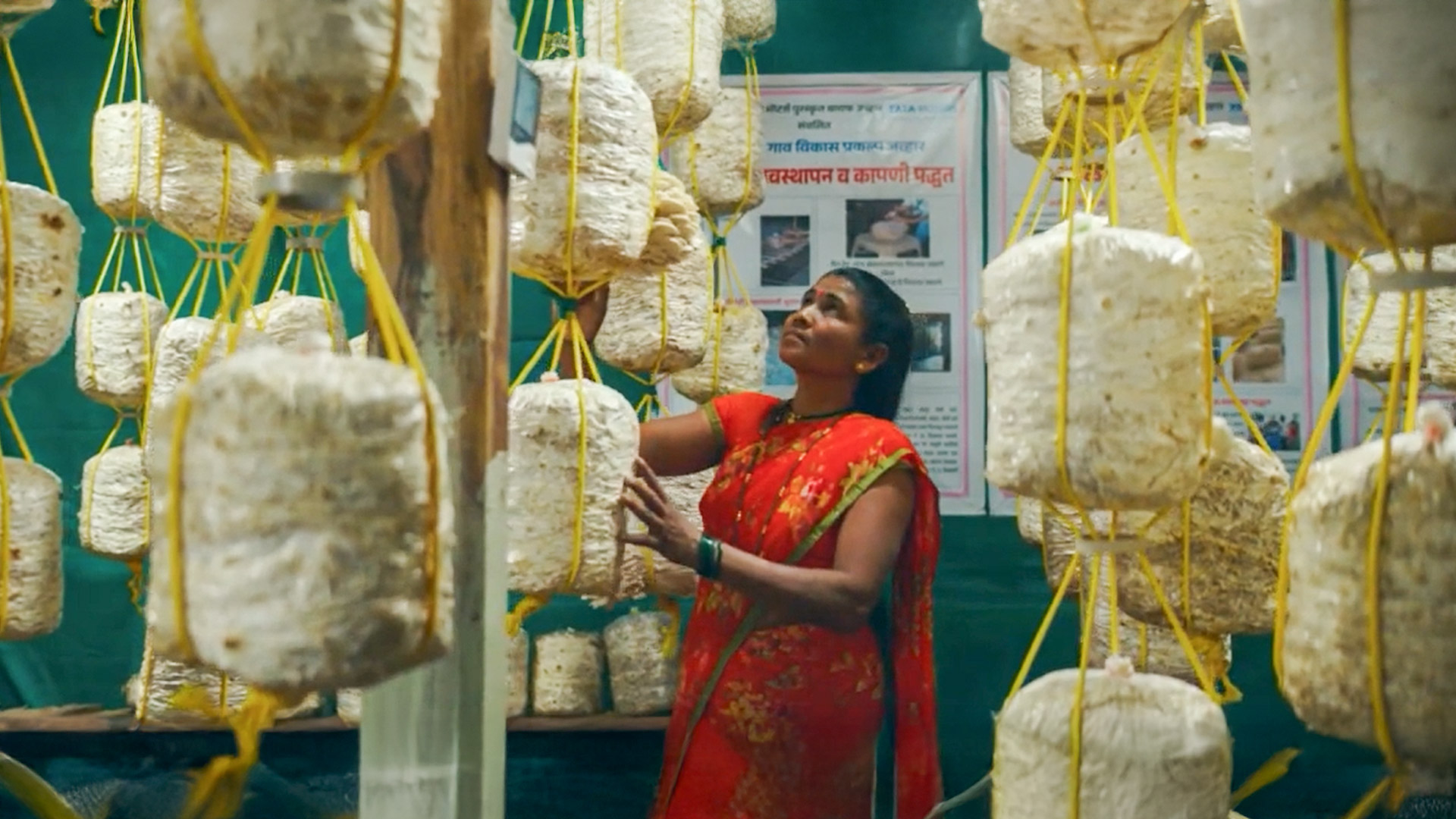 Tata Motors is scripting development through an integrated approach 