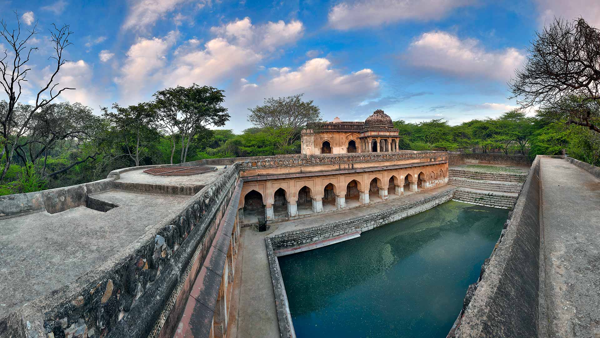 TCS Foundation Baolis
