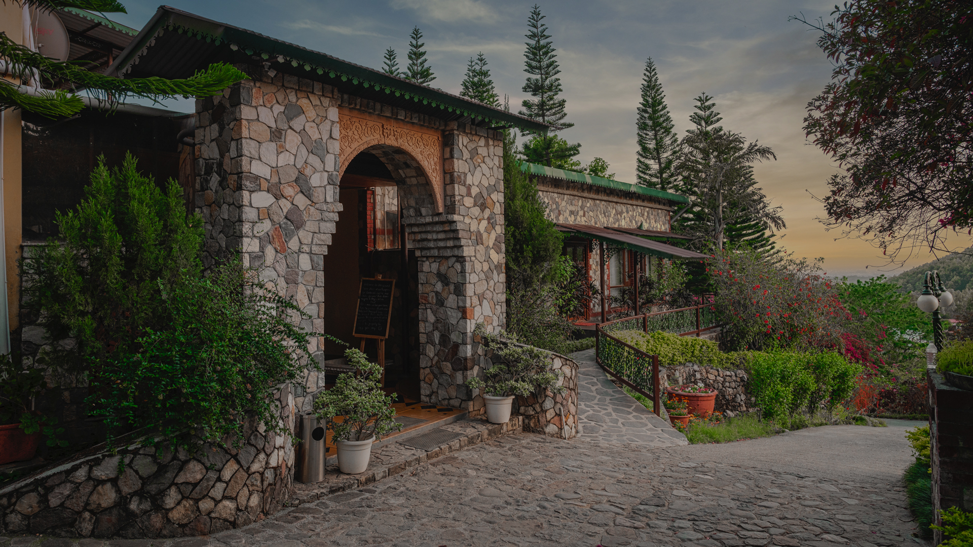 Tree Of Life - Dehradun Foothills