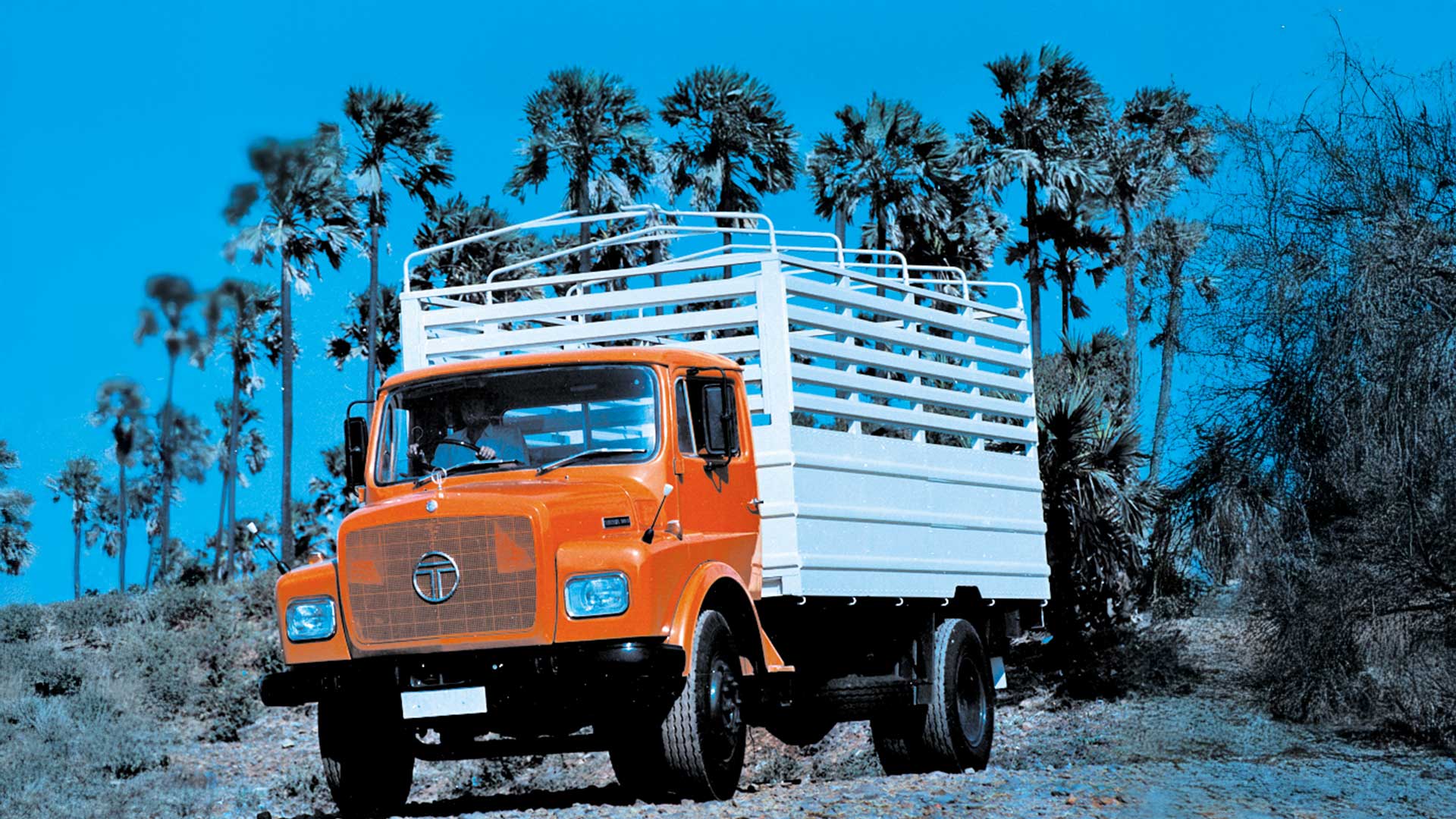 Tata Truck expedition